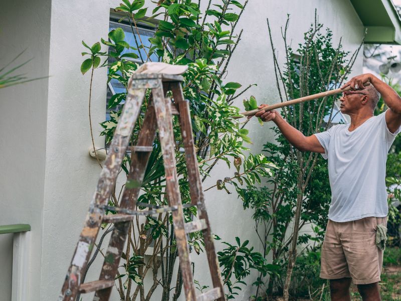 Residential painter construction services category